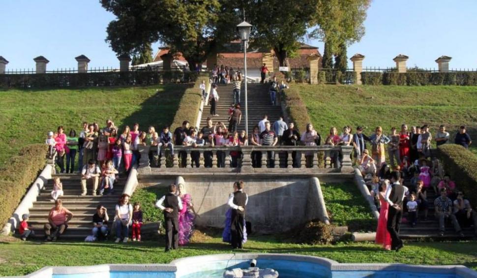Palatul Brukenthal din Avrig se promovează prin artă  816146