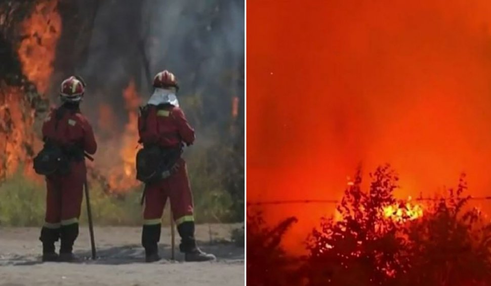 Incendiu puternic de vegetaţie în Chile: Peste 300.000 de hectare au ars complet