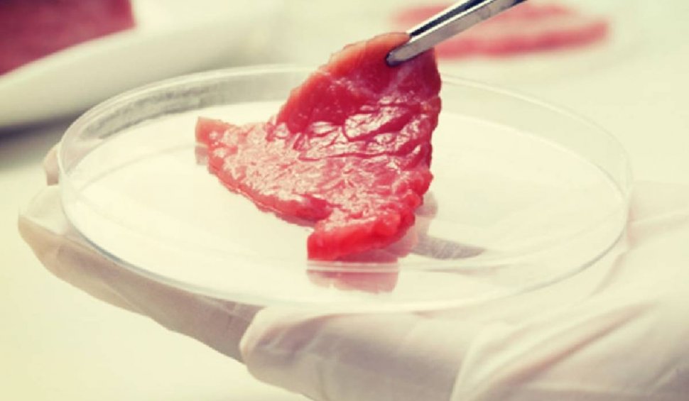 Carnea făcută în laborator ar putea apărea pe mesele europenilor: "Atât timp cât respectă standardele noastre nutriționale"