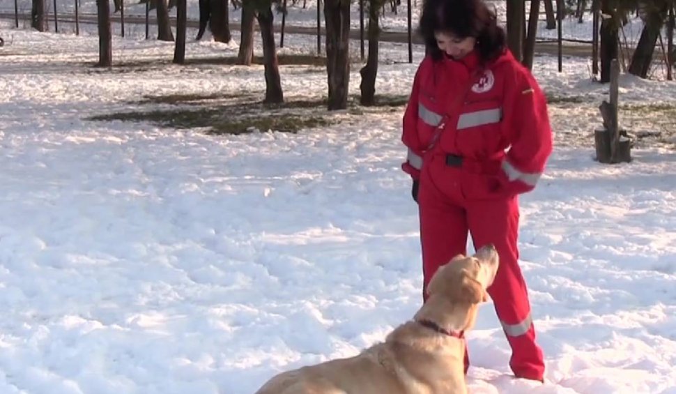 O nouă echipă de câini salvatori din România a ajuns în Turcia | "O să fie un impact emoțional foarte mare"