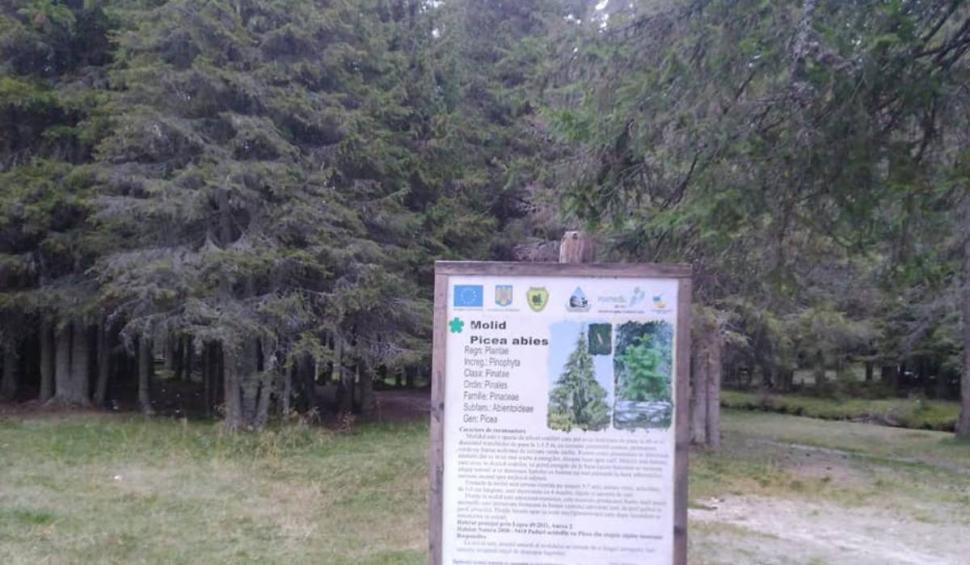 Locuri de poveste, în munții României: pe urmele haiducilor lui Șaptecai 816572