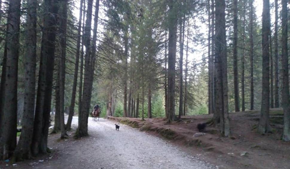 Locuri de poveste, în munții României: pe urmele haiducilor lui Șaptecai 816574