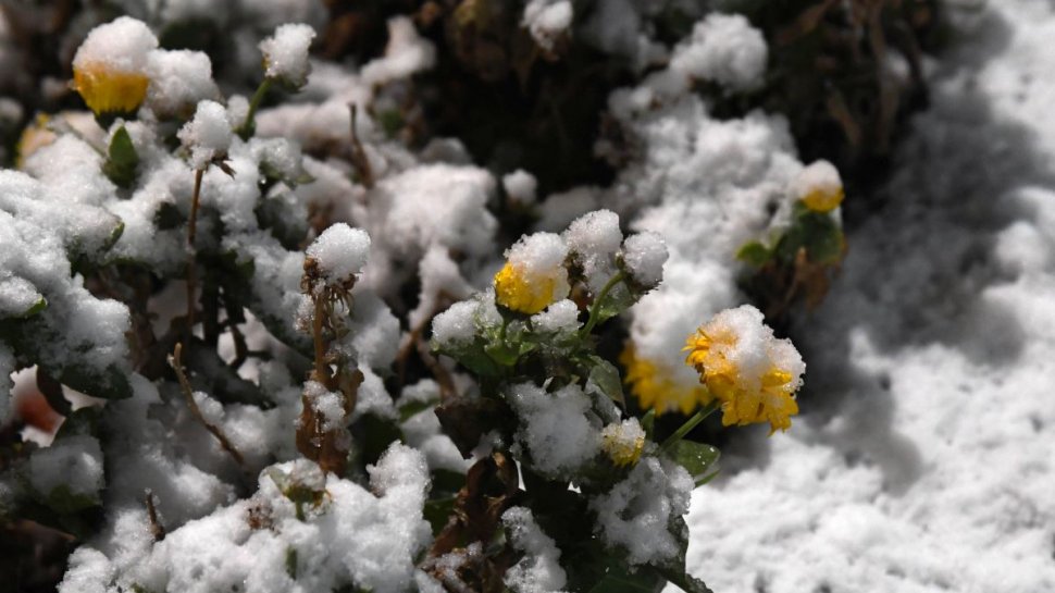 Când se întorc ninsorile în România! Prognoza meteo pentru perioada 13-26 februarie