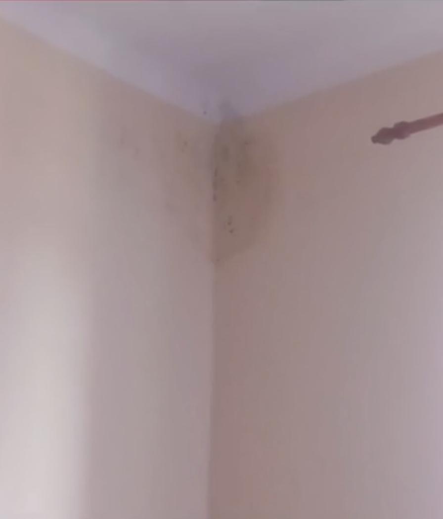 Mâncare expirată, ploșnițe și râie la azilele de bătrâni. Controalele s-au sfârșit cu amenzi de mii de lei 816888