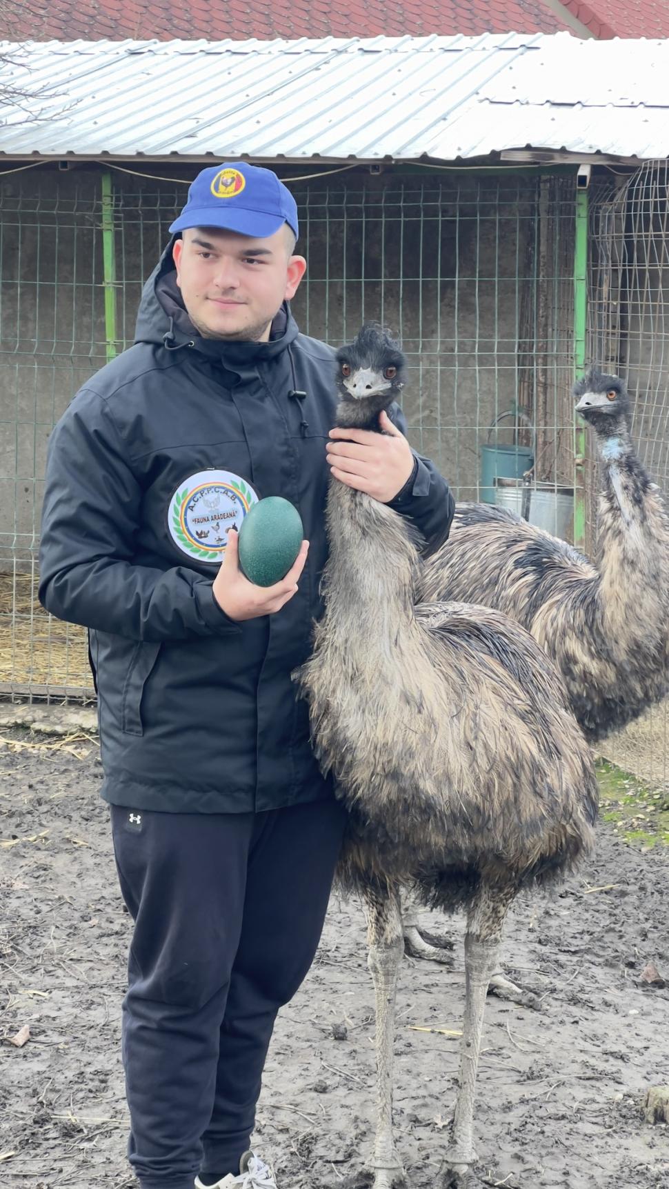 Un tânăr de 19 ani a dat lovitura în afaceri. Cum a ajuns să vândă un ou cu 150 de lei, în Arad 817448