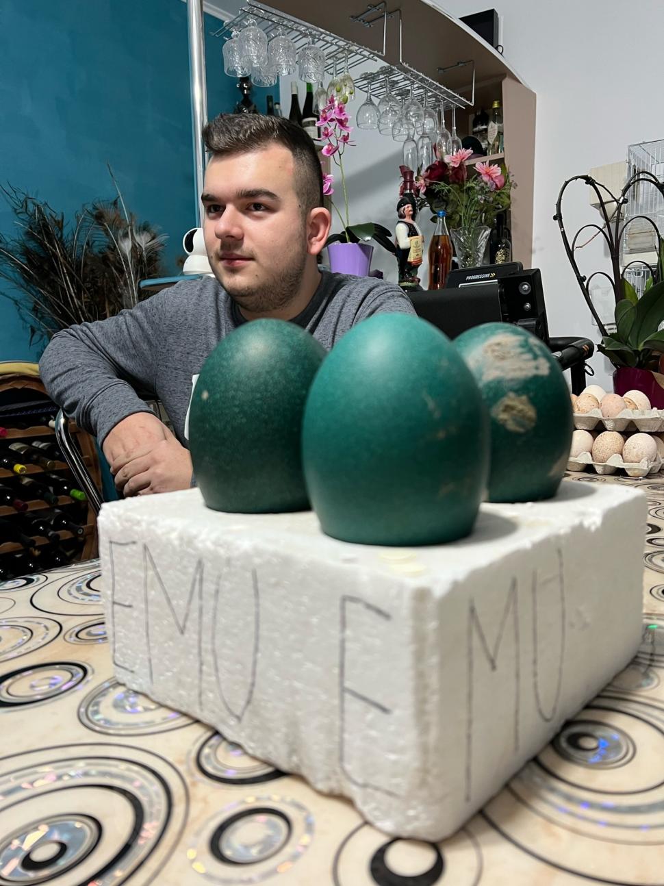 Un tânăr de 19 ani a dat lovitura în afaceri. Cum a ajuns să vândă un ou cu 150 de lei, în Arad 817451