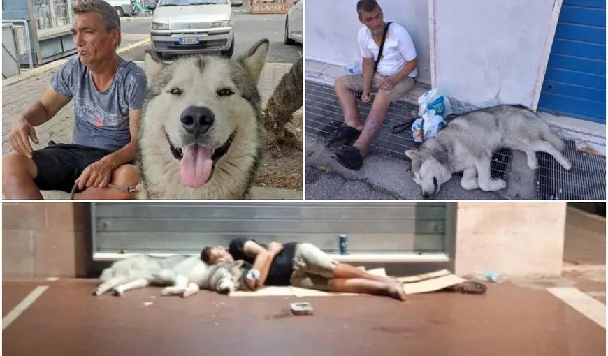 El este Ionel, românul din Italia care a preferat să moară pe stradă decât să îşi abandoneze câinele 817654