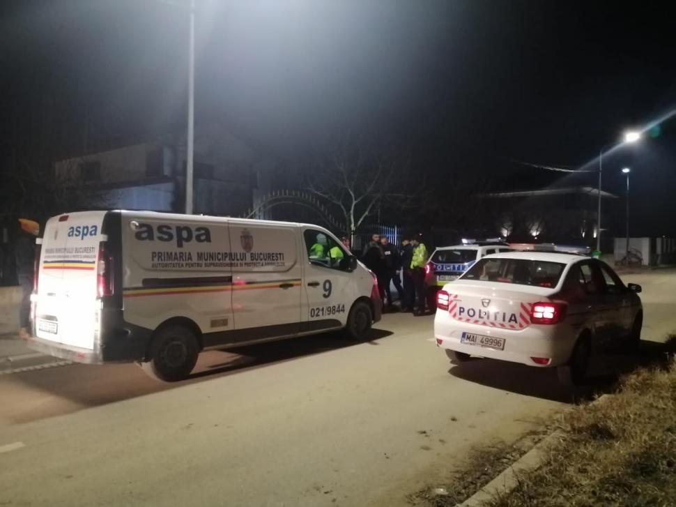 Încă o femeie a fost atacată de câini la Lacul Morii! Un cetățean i-a sărit în ajutor 817853