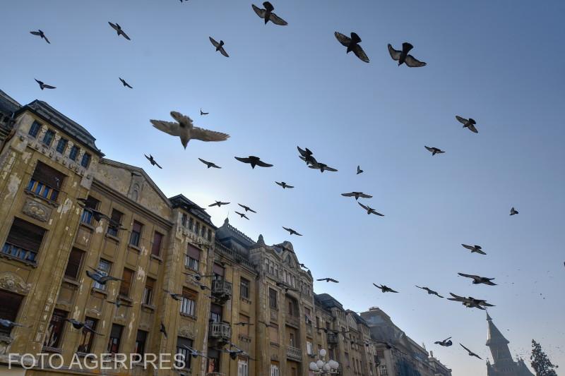Pană de curent la Opera din Timişoara, în deschiderea Capitalei Europene a Culturii | Nicolae Ciucă, prezent la ceremonie 817939