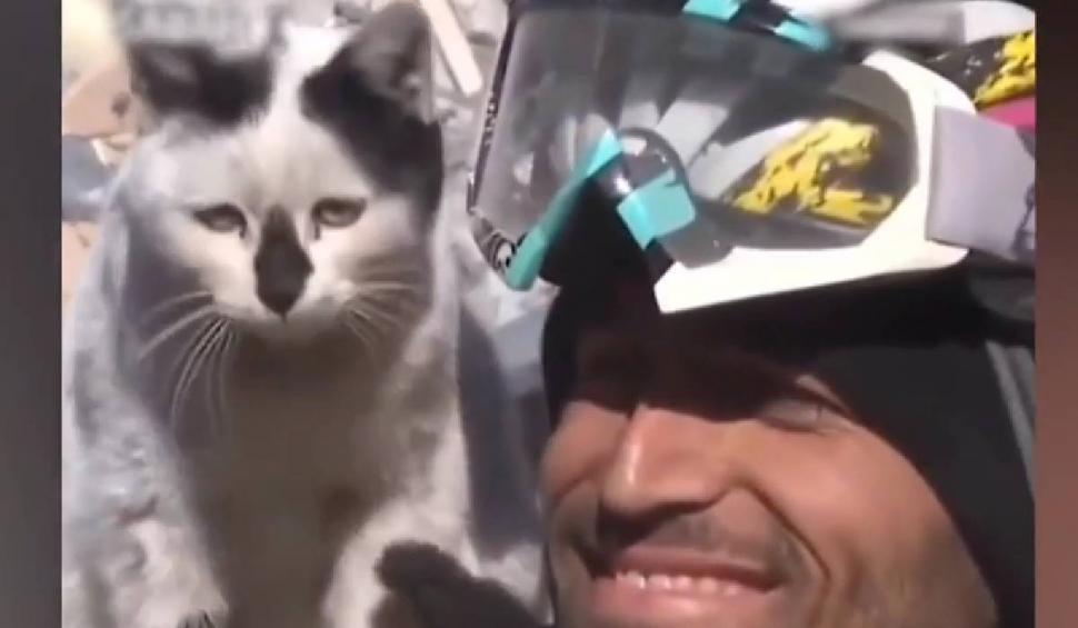 O pisică scoasă de sub dărâmături refuză să-şi părăsească salvatorul din Turcia 817946