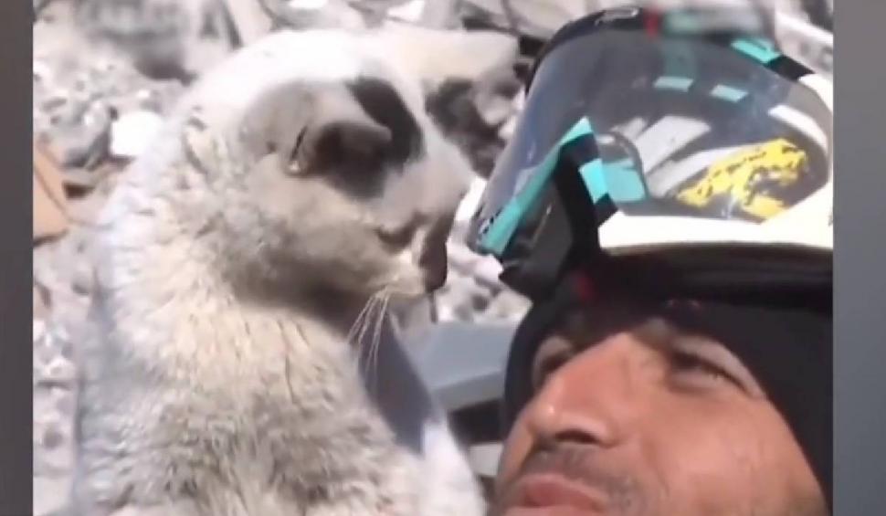 O pisică scoasă de sub dărâmături refuză să-şi părăsească salvatorul din Turcia 817947