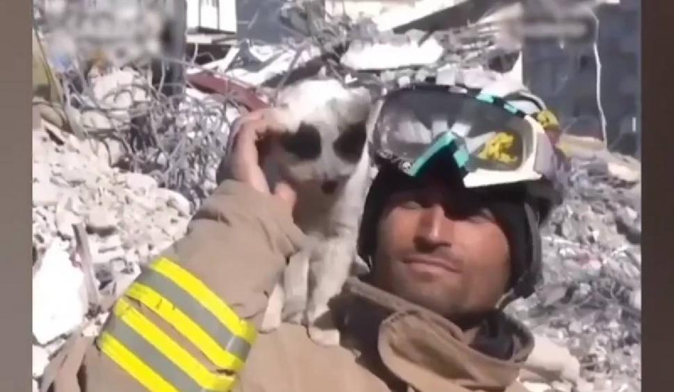 O pisică scoasă de sub dărâmături refuză să-şi părăsească salvatorul din Turcia 817948