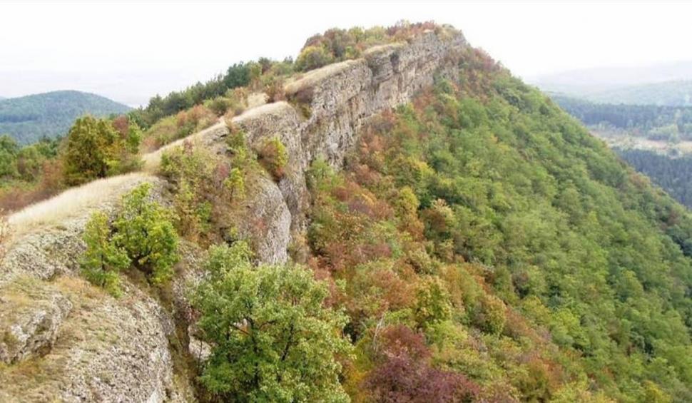 Cetate medievală luată cu asalt cu excavatorul de căutători de comori, în Alba. Oamenii săpau după o găleată de aur 818276