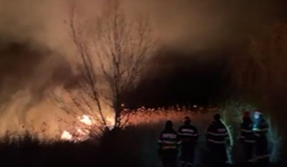 Incendiu de vegetație în Delta Dunării, în apropiere de localitatea Murighiol 818609