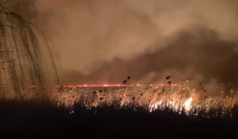 Incendiu de vegetație în Delta Dunării, în apropiere de localitatea Murighiol