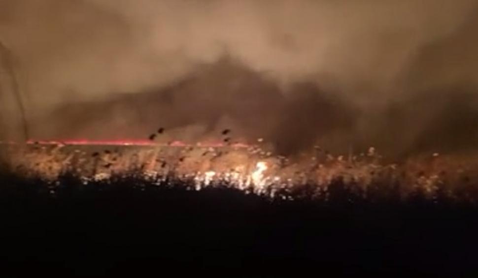 Incendiu de vegetație în Delta Dunării, în apropiere de localitatea Murighiol 818612
