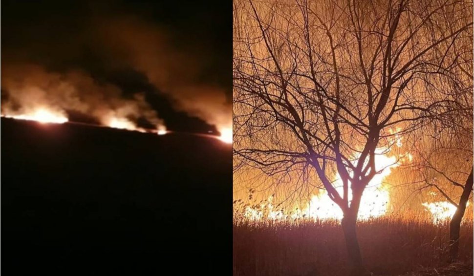 Incendiu de vegetație în județul Vaslui: Peste 60 de hectare de stuf au ars, în ultimele 24 de ore