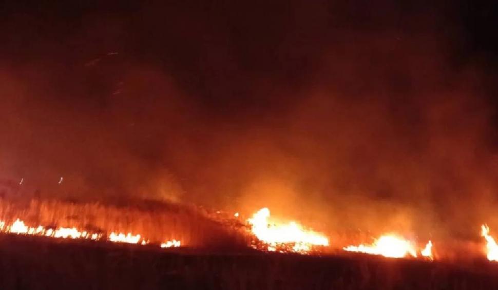 Incendiu de vegetație în județul Vaslui: Peste 60 de hectare de stuf au ars, în ultimele 24 de ore 818864