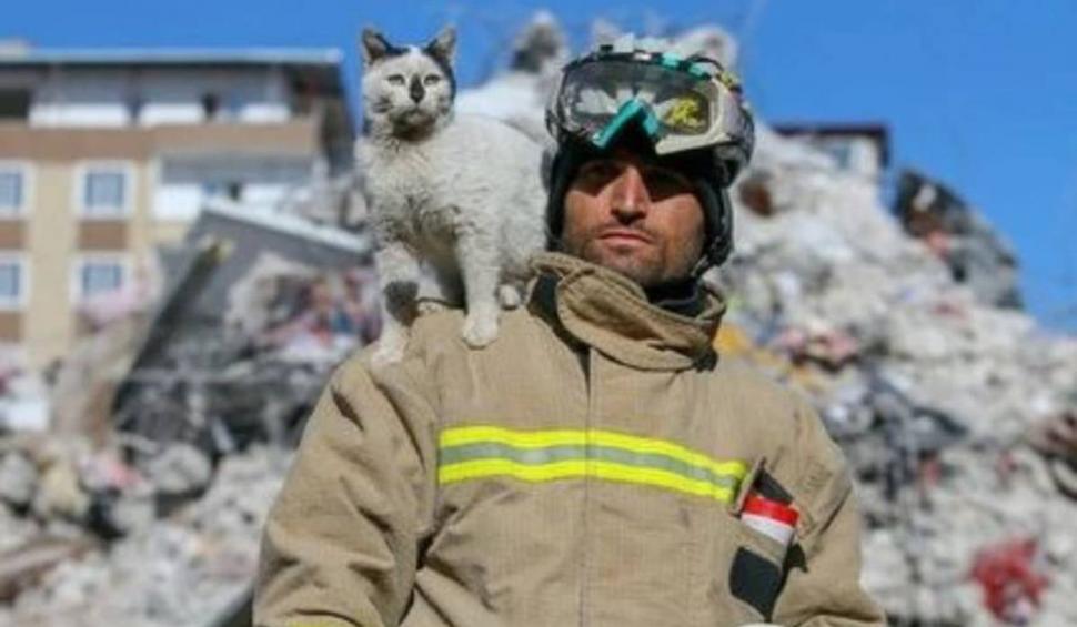 "În tot acest întuneric, puțină lumină" | Pisica salvată de sub ruinele din Turcia a fost adoptată de pompierul de care nu s-a mai dezlipit 818749