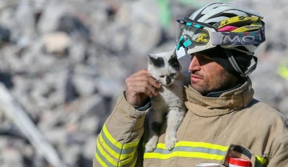 "În tot acest întuneric, puțină lumină" | Pisica salvată de sub ruinele din Turcia a fost adoptată de pompierul de care nu s-a mai dezlipit 818750