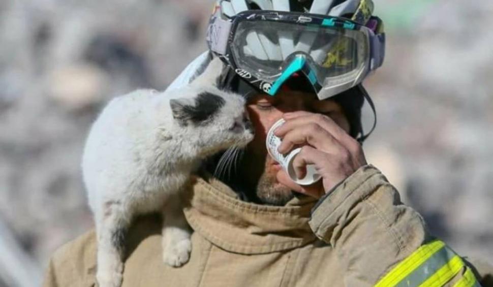 "În tot acest întuneric, puțină lumină" | Pisica salvată de sub ruinele din Turcia a fost adoptată de pompierul de care nu s-a mai dezlipit 818751