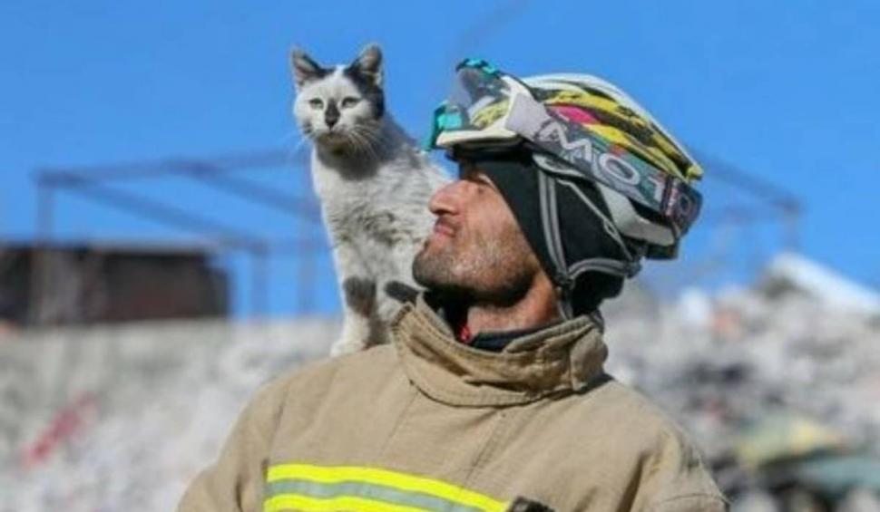 "În tot acest întuneric, puțină lumină" | Pisica salvată de sub ruinele din Turcia a fost adoptată de pompierul de care nu s-a mai dezlipit 818752