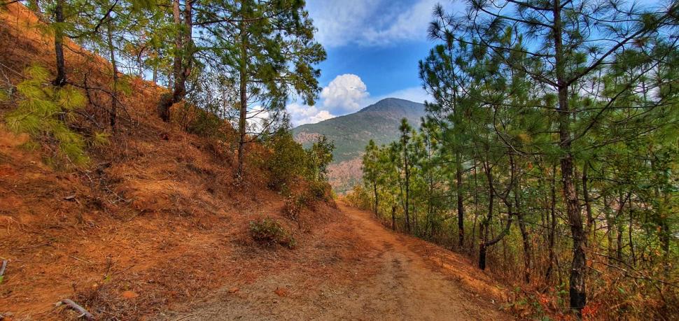 Traseul din Bhutan unde pentru fiecare turist se plantează un copac. S-a redeschis după 60 de ani | Ce principii ecologice trebuie respectate 818729