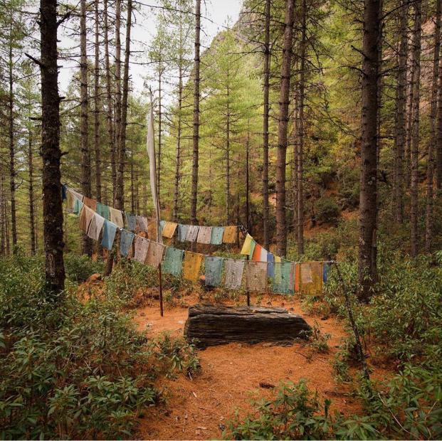 Traseul din Bhutan unde pentru fiecare turist se plantează un copac. S-a redeschis după 60 de ani | Ce principii ecologice trebuie respectate 818732
