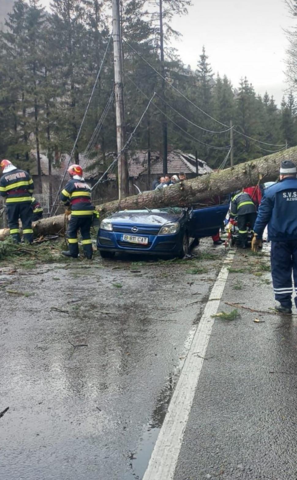 Un copac a căzut peste o mașină aflată în mers, pe DN1 în Azuga! Trafic blocat complet 819521
