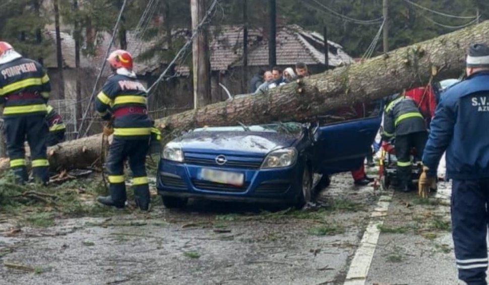Un copac a căzut peste o mașină aflată în mers, pe DN1 în Azuga! Trafic blocat complet