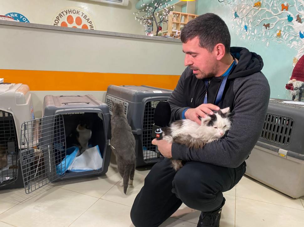 Povestea voluntarilor ucraineni care salvează animalele abandonate în război. Într-o clinică din Harkov, toate cuştile sunt pline de suflete nevinovate 819553