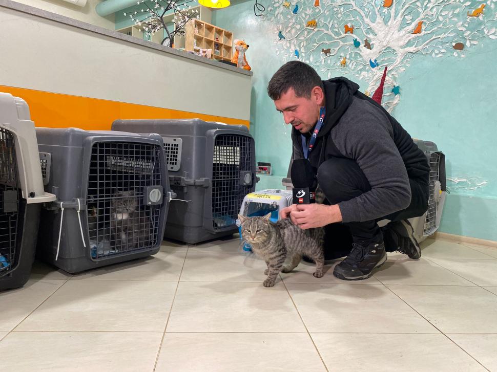 Povestea voluntarilor ucraineni care salvează animalele abandonate în război. Într-o clinică din Harkov, toate cuştile sunt pline de suflete nevinovate 819558