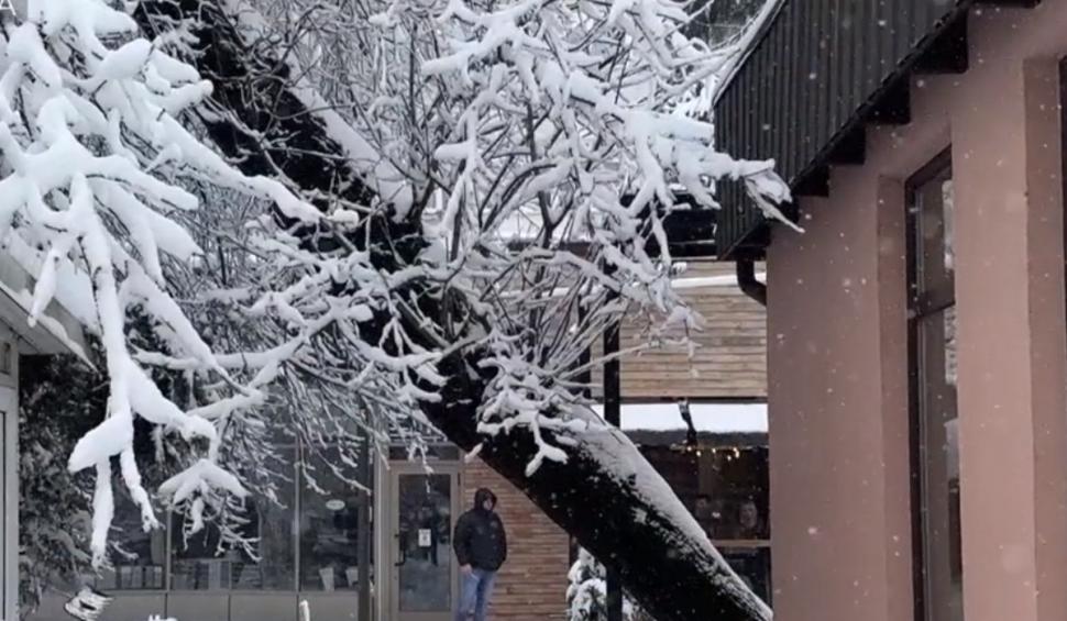 Vremea a făcut prăpăd în mai multe zone din ţară | Imagini din localităţile lovite de urgia naturii: Oamenii şi-au scos lucrurile în stradă 819783