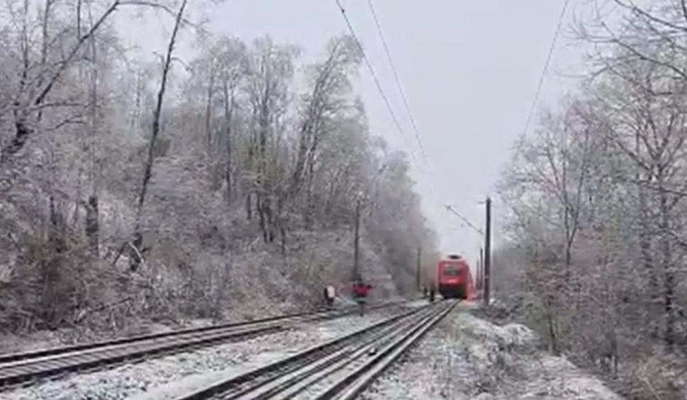 Vremea a făcut prăpăd în mai multe zone din ţară | Imagini din localităţile lovite de urgia naturii: Oamenii şi-au scos lucrurile în stradă 819785