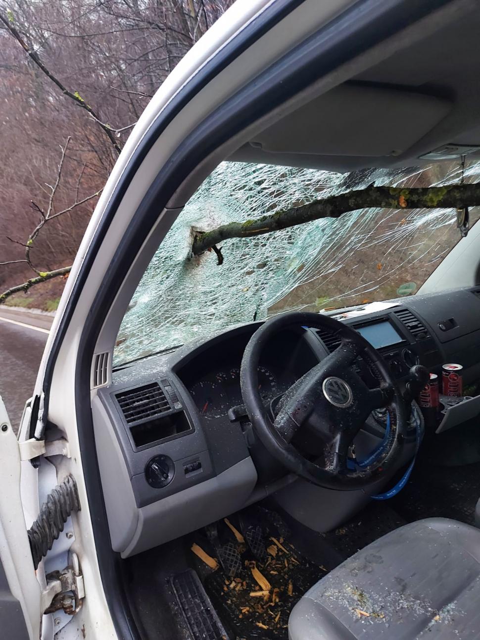 Copac căzut peste o mașină aflată în mers, la Sighișoara! Șoferul a fost rănit 819622