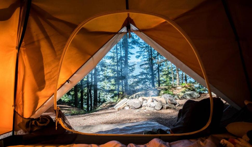 ILFOV | Ziua Brâncuși, sărbătorită la Conacul Oteteleșanu din Măgurele 819711