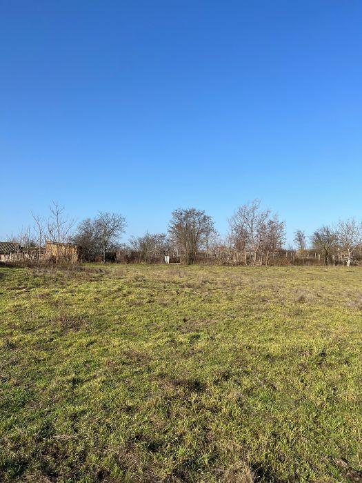 ANAF scoate la licitaţie o casă fără acoperiş şi un teren în Tulcea. Preţul de pornire este uriaş 819959