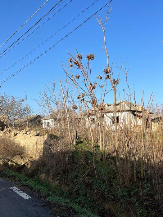 ANAF scoate la licitaţie o casă fără acoperiş şi un teren în Tulcea. Preţul de pornire este uriaş 819960