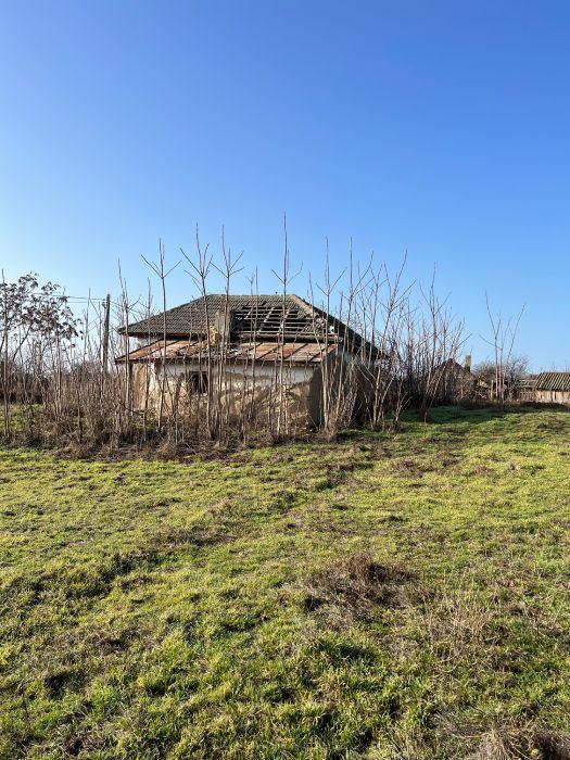 ANAF scoate la licitaţie o casă fără acoperiş şi un teren în Tulcea. Preţul de pornire este uriaş 819961