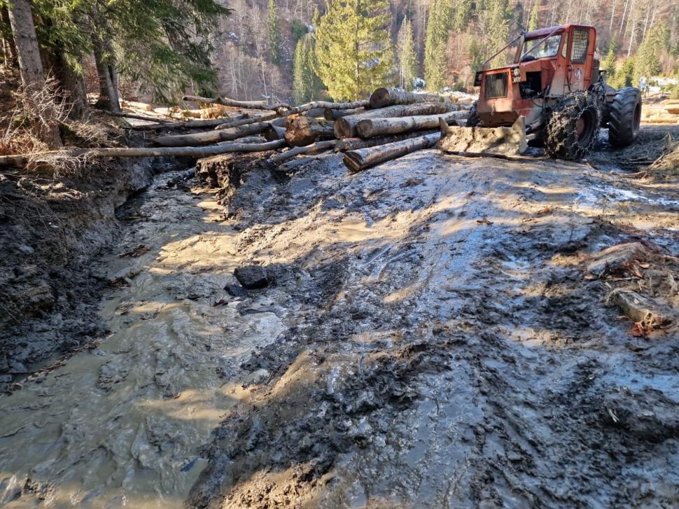 Garda de Mediu confirmă poluarea din Munţii Făgăraş. Au fost date mai multe amenzi 820092