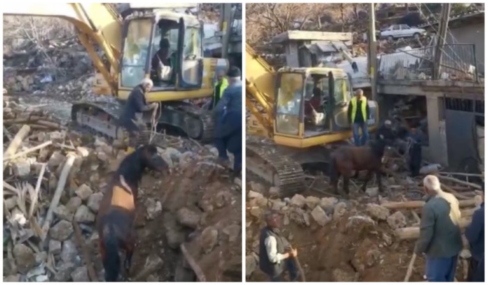 Un cal a fost scos viu de sub dărâmăturile din Turcia, la 21 de zile de la cutremurele devastatoare