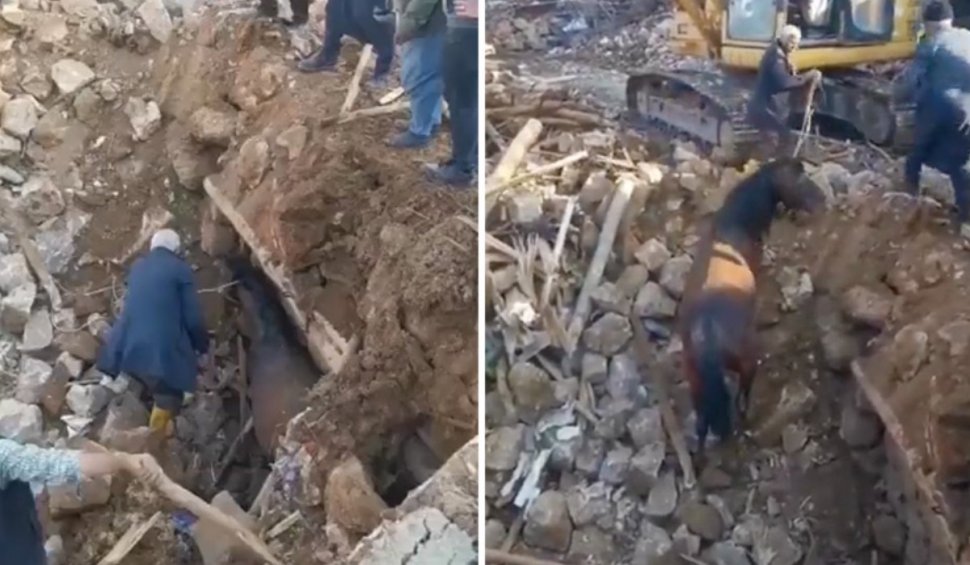 Momentul în care un cal este salvat de sub ruine, după 21 de zile de la cutremurul din Turcia