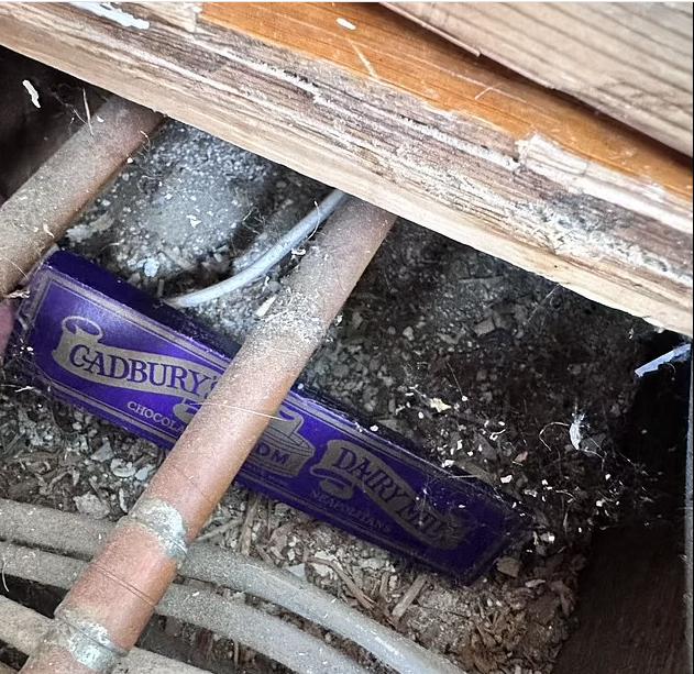 Parchetul din casa unei femei ascundea o "comoară": "Are 100 de ani!” 820704