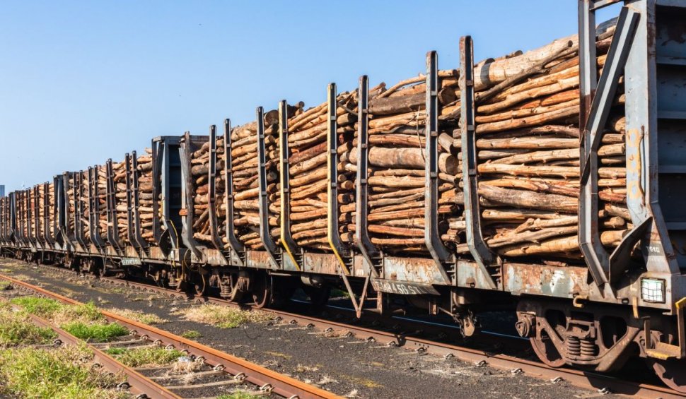 Trenurile încărcate cu buşteni nu pleacă din România, ci vin în ţară
