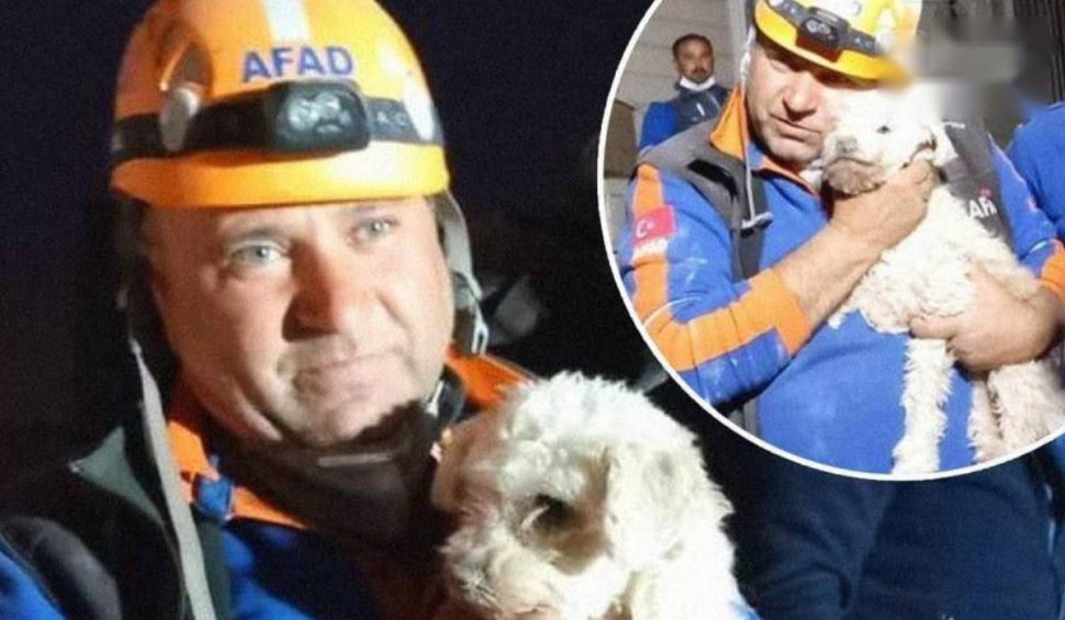 Un câine a fost găsit în viaţă la 25 de zile de la cutremurul devastator din Turcia