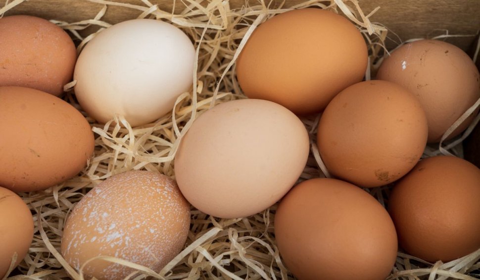 Cât a ajuns să coste un ou de ţară | Este mai scump decât un kilogram de mere
