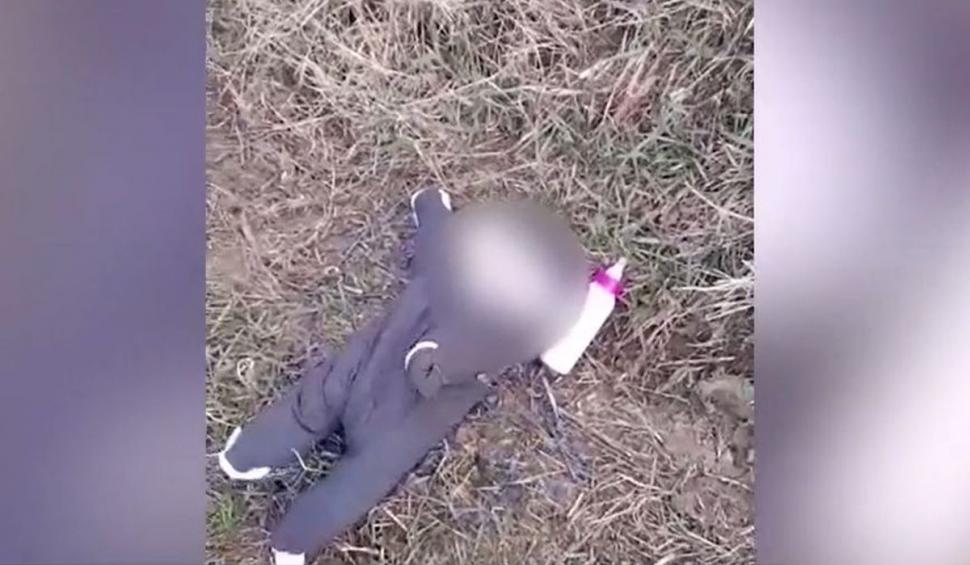 "O mânuţă se mişca în şanţ. Era un bebeluş cu o sticluţă de lapte lângă el". Povestea fetiţei abandonate în câmp, la Sibiu, după ce mama s-a certat cu iubitul 821549