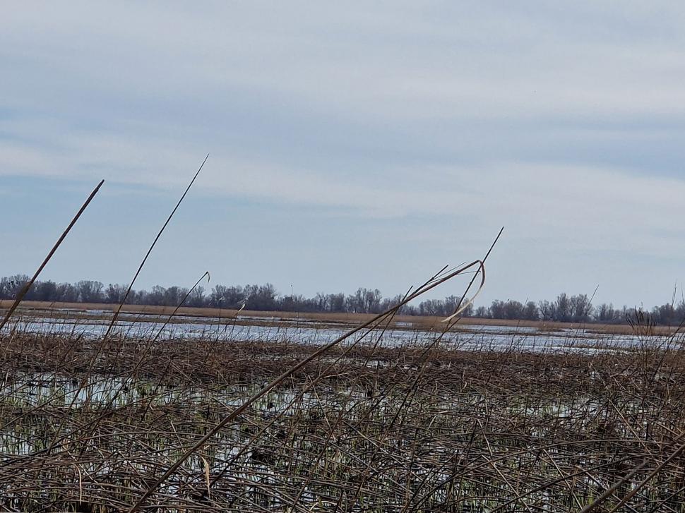 A apărut un nou lac în Delta Dunării! Cum descriu specialiștii acest fenomen 822055