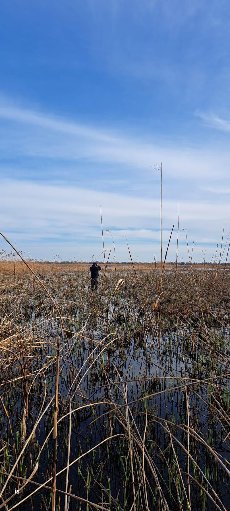A apărut un nou lac în Delta Dunării! Cum descriu specialiștii acest fenomen 822056