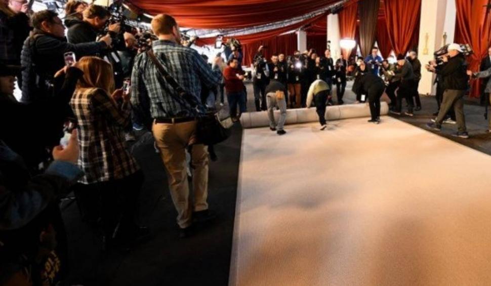 Premiile Oscar nu vor mai avea covor roşu în 2023. Cu ce va fi înlocuit acesta după 62 de ani 822008